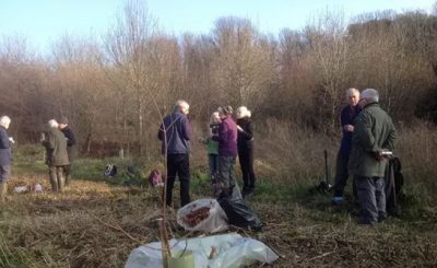 Worthing Conservation Volunteers