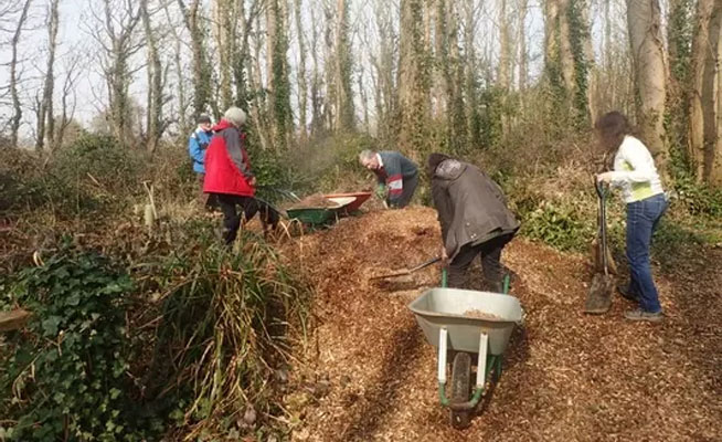 ﻿Goring & Ilex Conservation Group