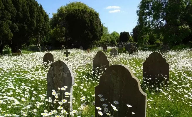 Friends of Broadwater Cemetery