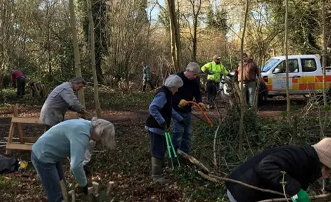 Friends of Whitebeam Wood