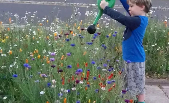 Eastbrook Community Gardeners