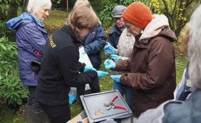 Friends of Highdown Gardens